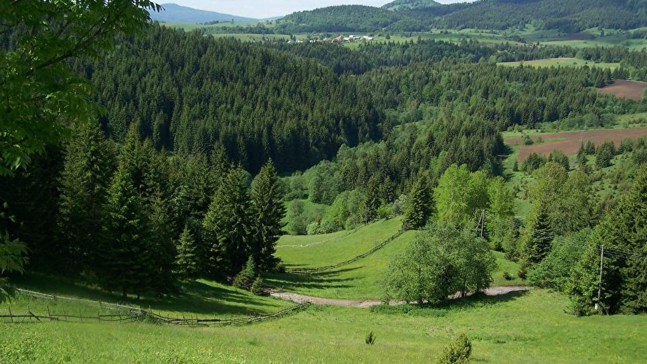 priroda